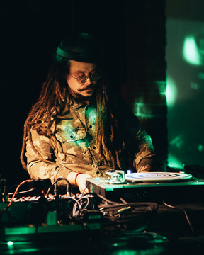 roots_in_the_woods (13)